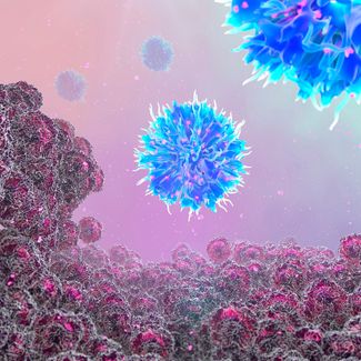 Иллюстрация нормального иммунного ответа, в котором раковые клетки (красные) выделяют антигены (розовые), захватываемые антигенпрезентирующими клетками (APC, синие). Эти антигены попадают на Т-клетки, которые затем активируются. Активированные Т-клетки размножаются и нацеливаются на раковые клетки, чтобы их уничтожить