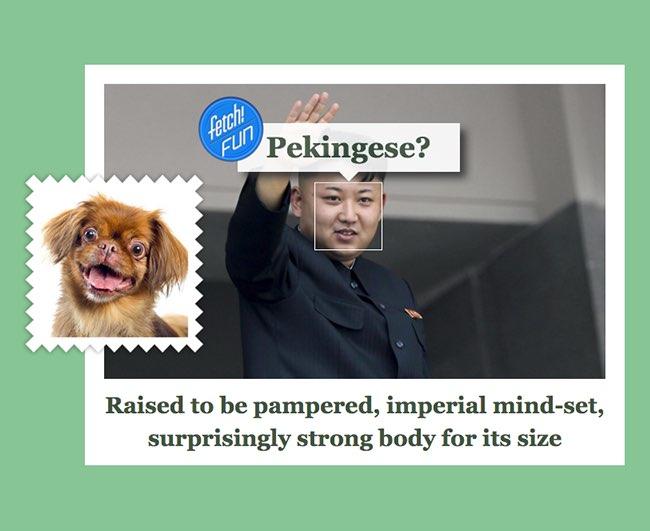 Microsoft показав на яких собак схожі світові лідери - фото 4