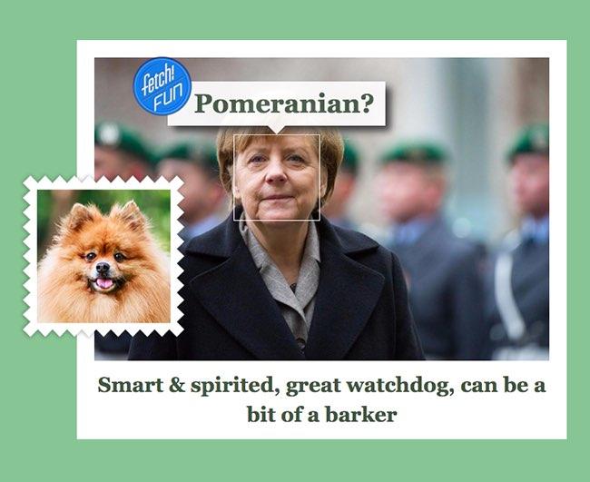 Microsoft показав на яких собак схожі світові лідери - фото 3