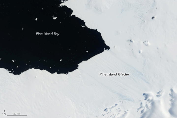 Анимация из снимков за 25-29 января, которая показывает движение отколовшегося айсберга