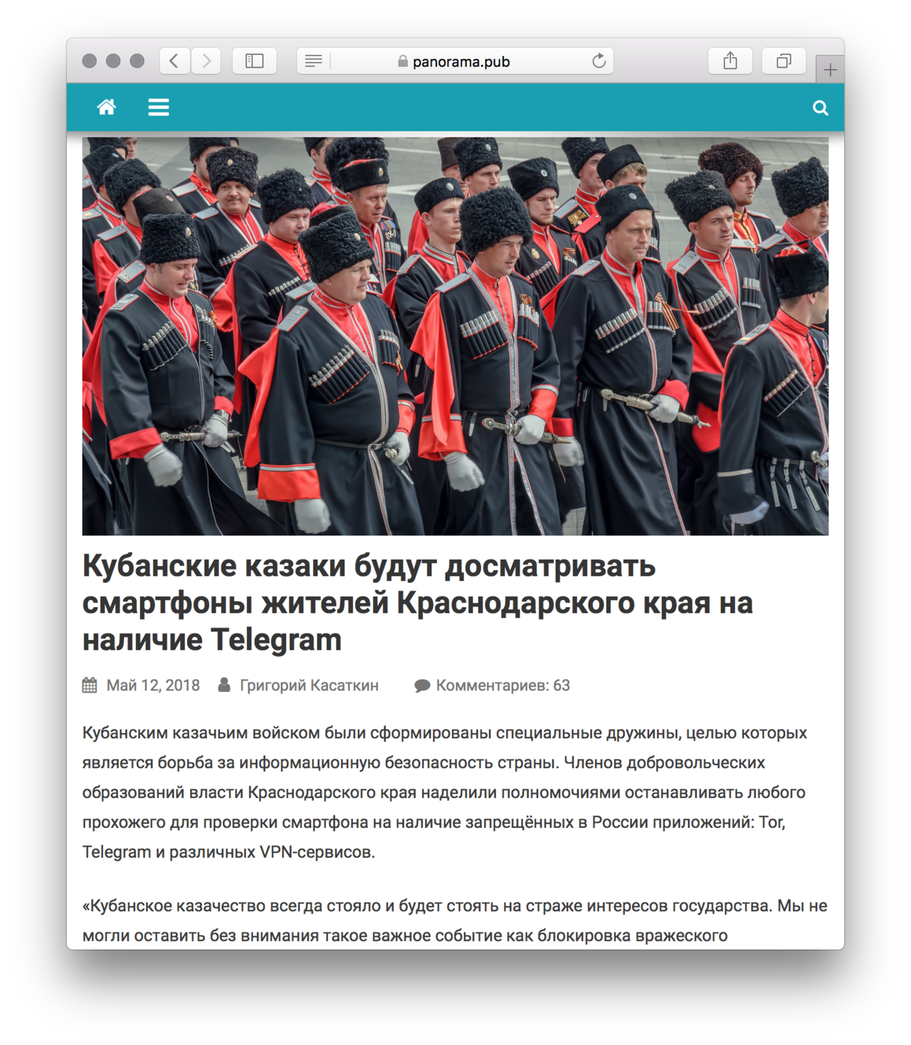 СМИ сообщили о казаках, проверяющих телефоны на наличие VPN и Telegram