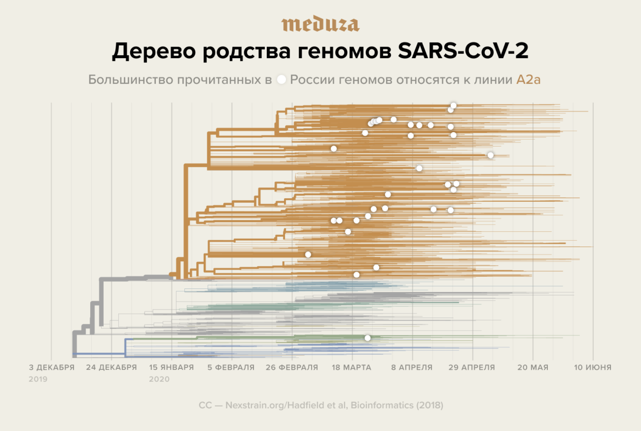 Вижу новости, что на самом деле все переболели коронавирусом еще в декабре,  — и, кстати, припоминаю какую-то простуду у себя… Эпидемия началась так  давно? — Meduza