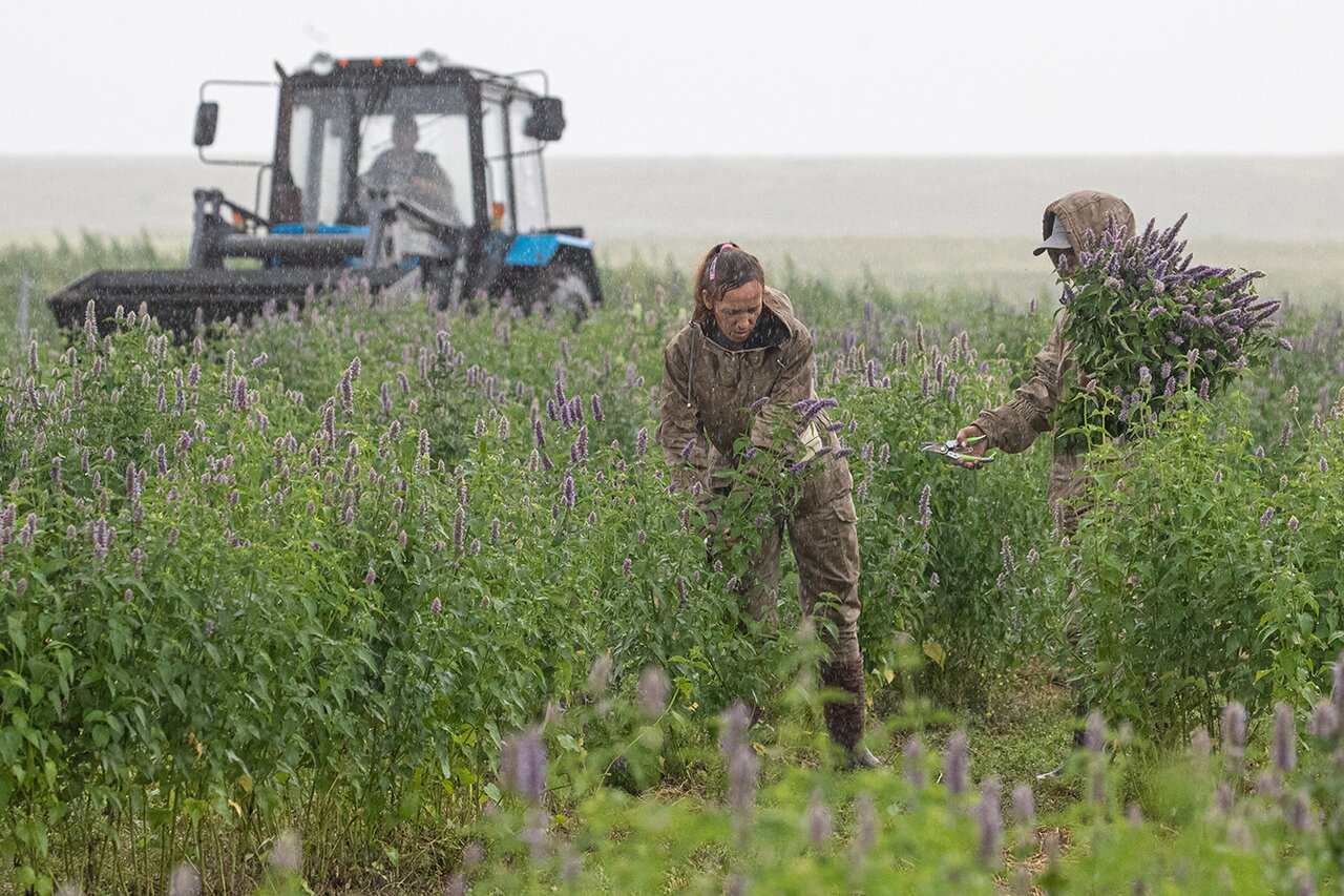 Умер создатель Natura Siberica Андрей Трубников «Медуза» вспоминает, как  ему удалось создать мировой косметический бренд — Meduza