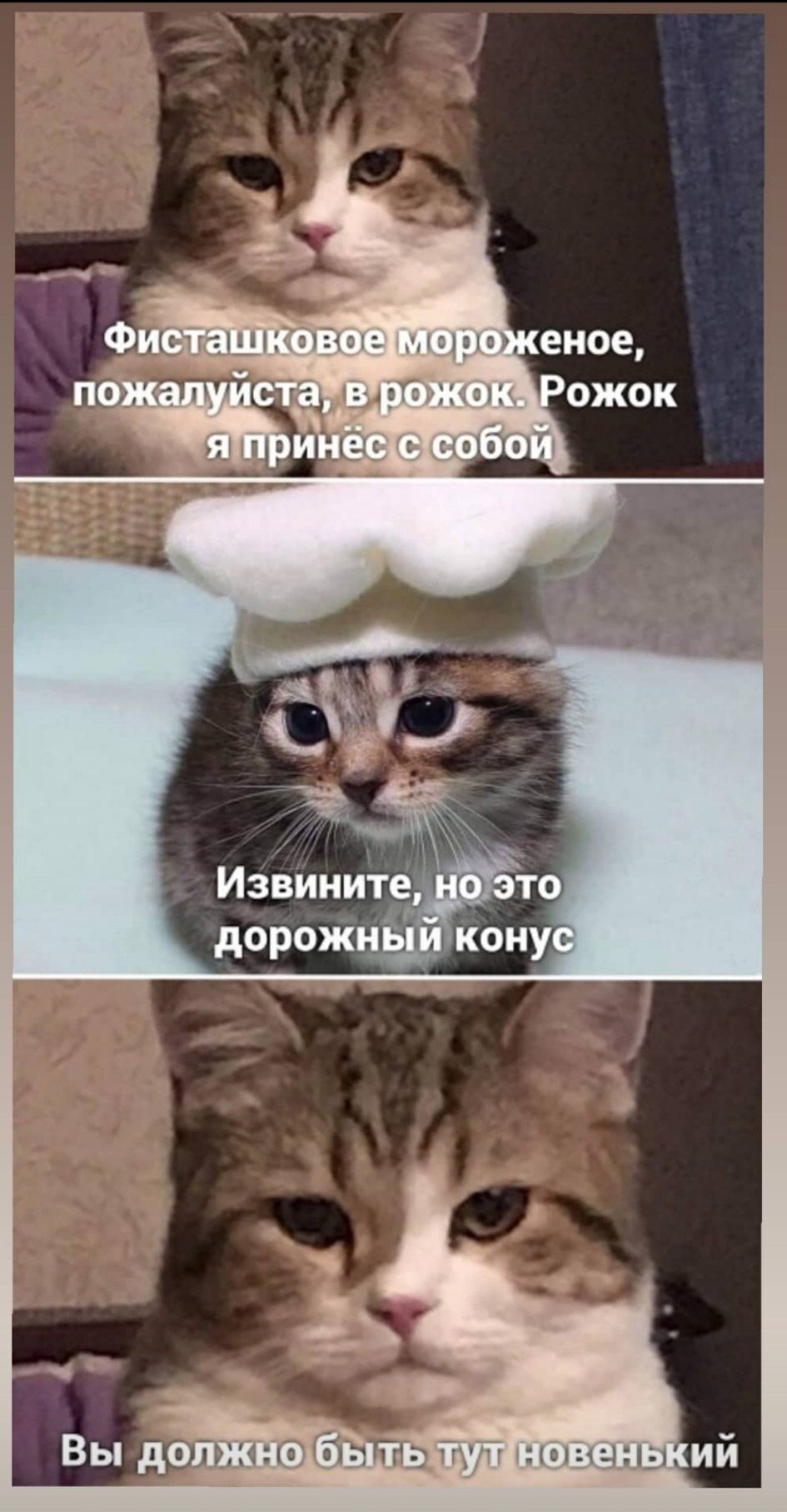 Наши любимые юморески 😂 Показываем мемы, которые заставляют милых  сотрудников «Медузы» ОРАТЬ. У нас день рождения, нам можно!! — Meduza