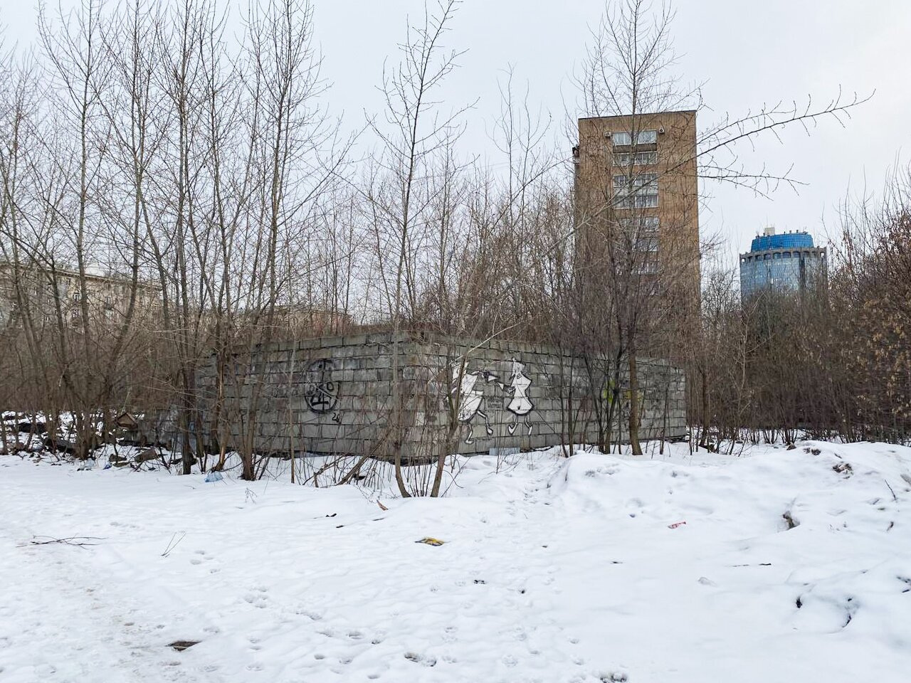 Два мужа Марии Воронцовой (дочери Путина) избежали санкций. Но одному из  них война все равно испортила жизнь Расследование «Медузы» и «Настоящего  времени» — Meduza