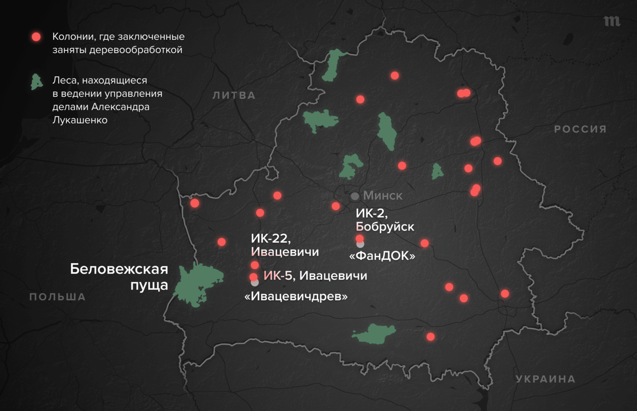 В страны ЕС поставляют мебель и древесину, при производстве которой  используют принудительный труд белорусских заключенных, в том числе  политических Торговля не прекратилась даже после введения санкций из-за  войны в Украине — Meduza