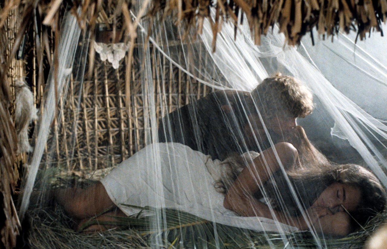 В 10 лет Брук Шилдс снималась для Playboy. В 15 — стала суперзвездой  благодаря «Голубой лагуне». В 22 — пережила изнасилование. А в 38 —  послеродовую депрессию Hulu выпустил документальный фильм о жизни актрисы.  Вот его пересказ — Meduza