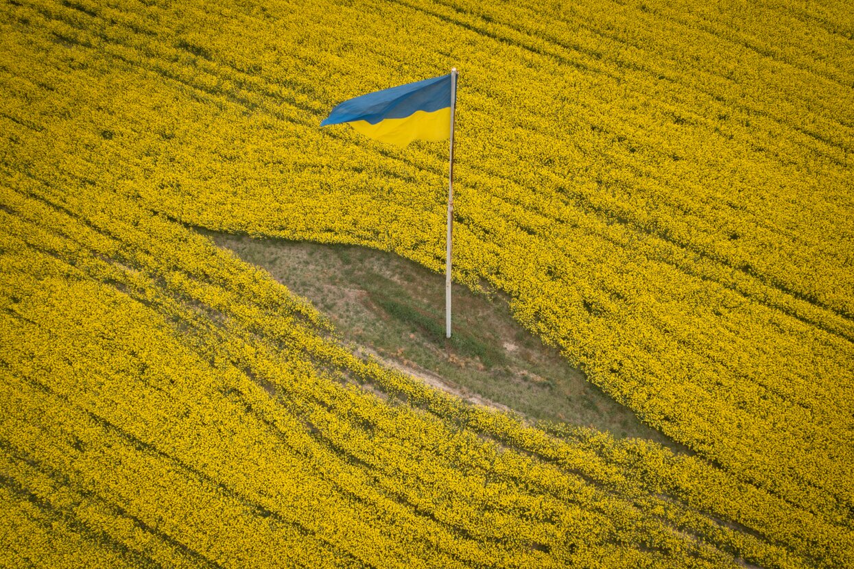 После срыва зерновой сделки основной коридор для вывоза украинского зерна —  Польша. Но Варшава уже не так лояльна Киеву, как в начале войны «Медуза»  рассказывает, как импорт из Украины обрушил польский рынок —