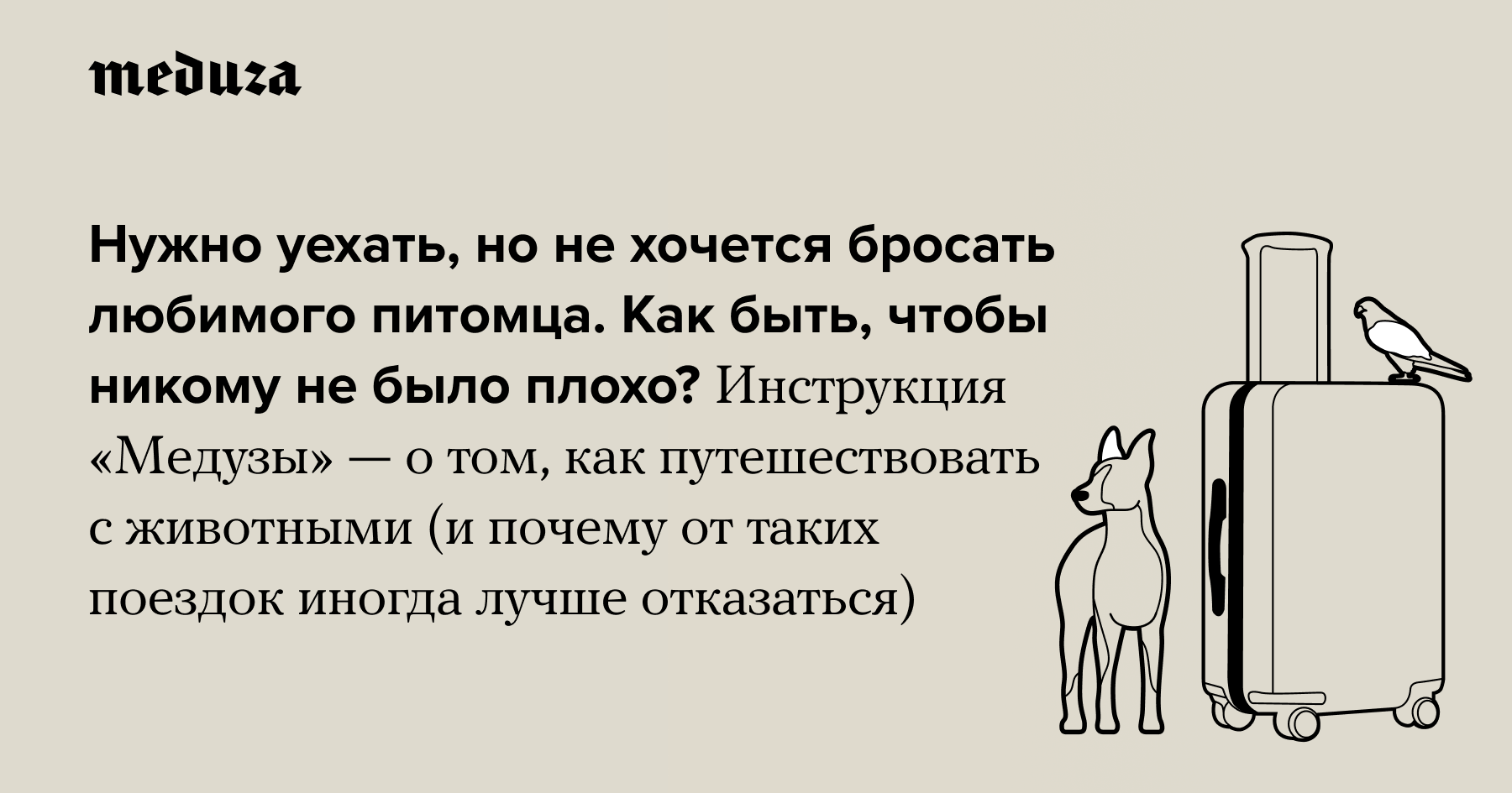 Нужно уехать, но не хочется бросать любимого питомца. Как быть, чтобы  никому не было плохо? Инструкция «Медузы» — о том, как путешествовать с  животными (и почему от таких поездок иногда лучше отказаться) —