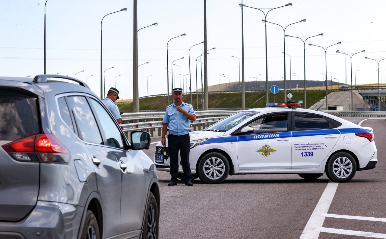 В прифронтовых городах остается много животных — и брошенных, и живущих с  хозяевами, которые не могут уехать. Вот как им помогают волонтеры Пятьсот  девятый день войны. Фотографии — Meduza