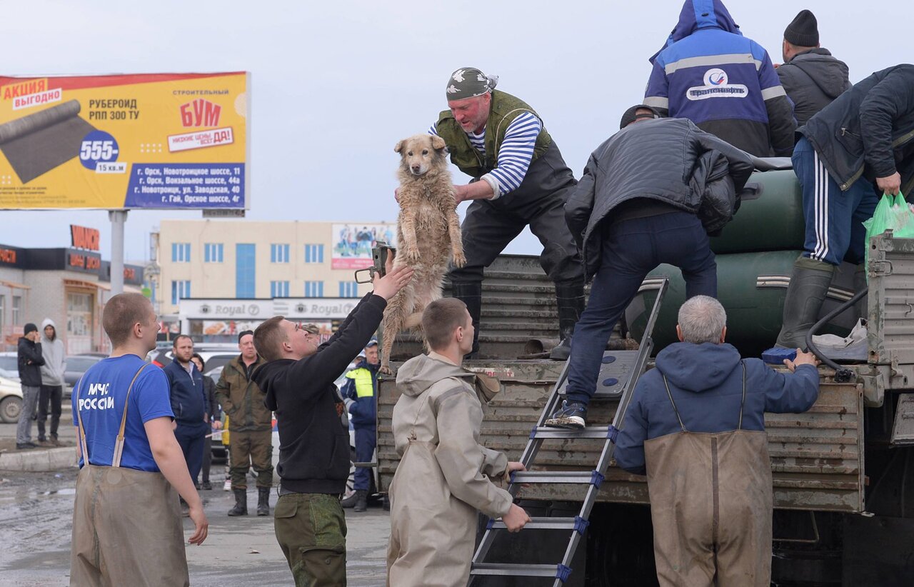 В Орске прорвало вторую дамбу. Вода добралась и до Оренбурга — там тоже  началась эвакуация жителей По «наихудшему сценарию» в зоне затопления в  Орске окажется более шести тысяч домов, предупредили власти — Meduza