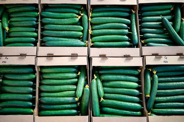 Sky-high cucumber prices are rattling Russian shoppers. The spike might be temporary, but the inflation problem isn’t.