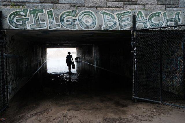 В США раскрыто одно из самых громких дел — о серийном убийце из Лонг-Айленда. 62-летний местный житель Рекс Хойерман признался в убийстве восьми женщин. Расследование заняло 16 лет. О нем даже сняли сериал Netflix