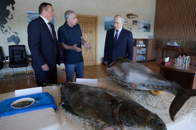 Путин едет по стране (в преддверии выборов). Он уже пнул мяч в Красноярске, восхитился палтусами на Курилах и показал бесстрашие перед ИИ в Новосибирске. Максимально коротко о путешествиях президента