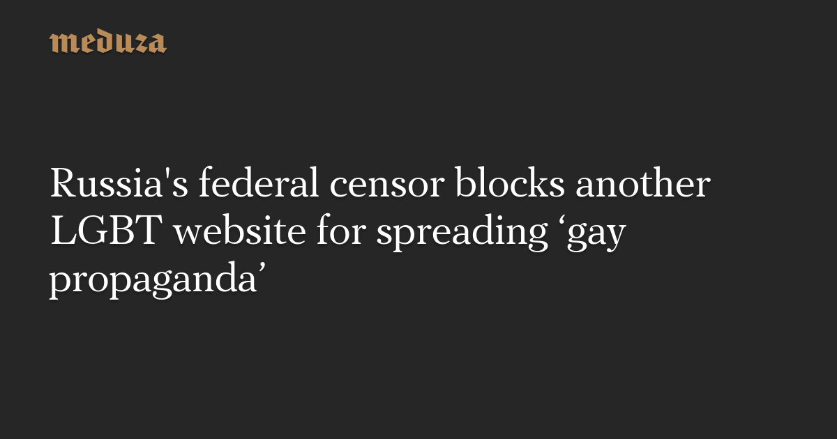 Russias Federal Censor Blocks Another Lgbt Website For Spreading ‘gay Propaganda — Meduza