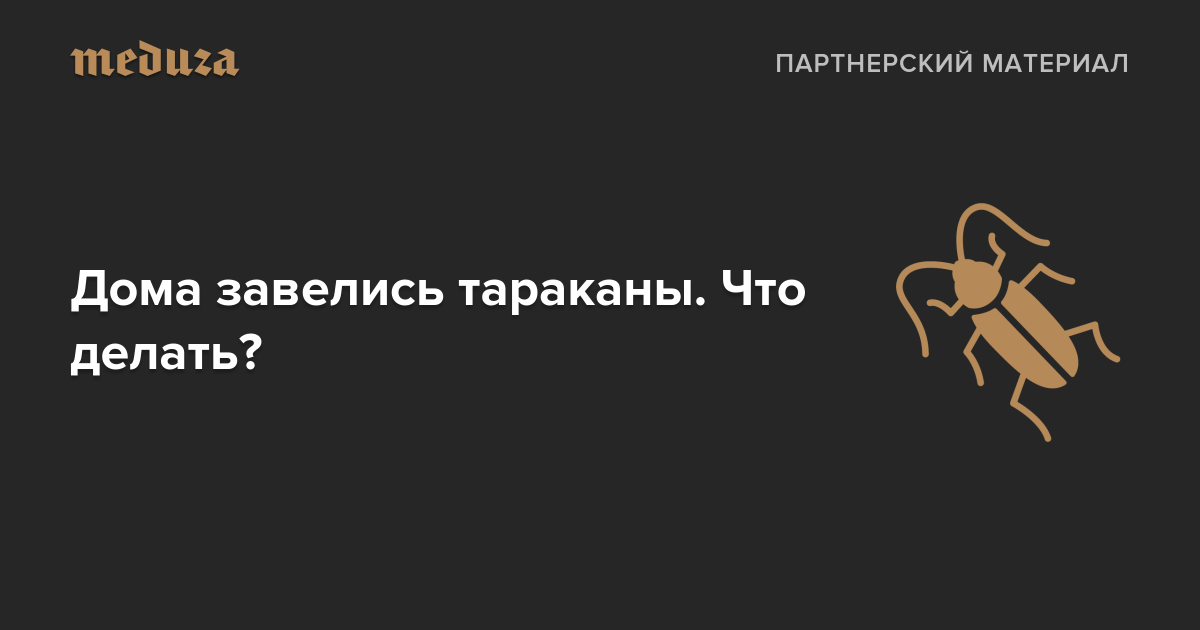 Что делать если появились тараканы на кухне