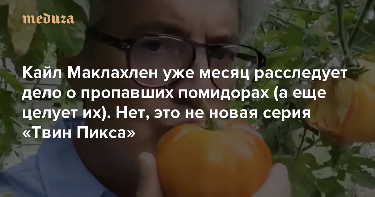 Она целует мои шрамы их не счесть онли кэш но кард падаю в икс шесть