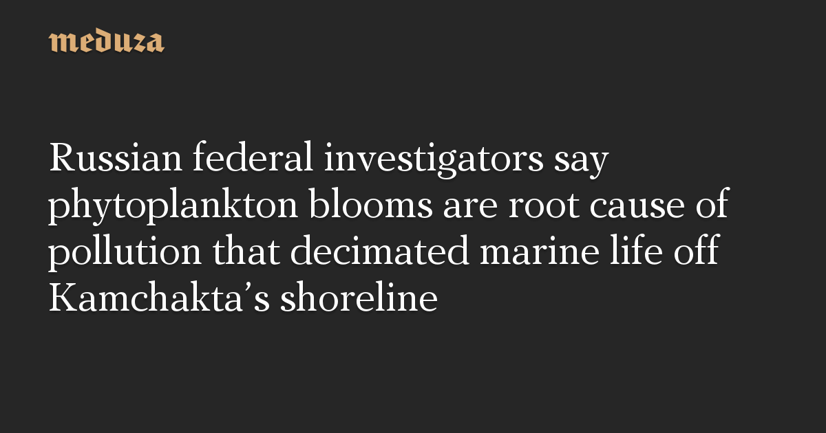 Russian federal investigators say phytoplankton blooms are root cause