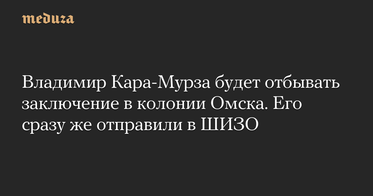 Владимир Кара-Мурза будет отбывать заключение в колонии Омска. Его сразу же отправили в ШИЗО