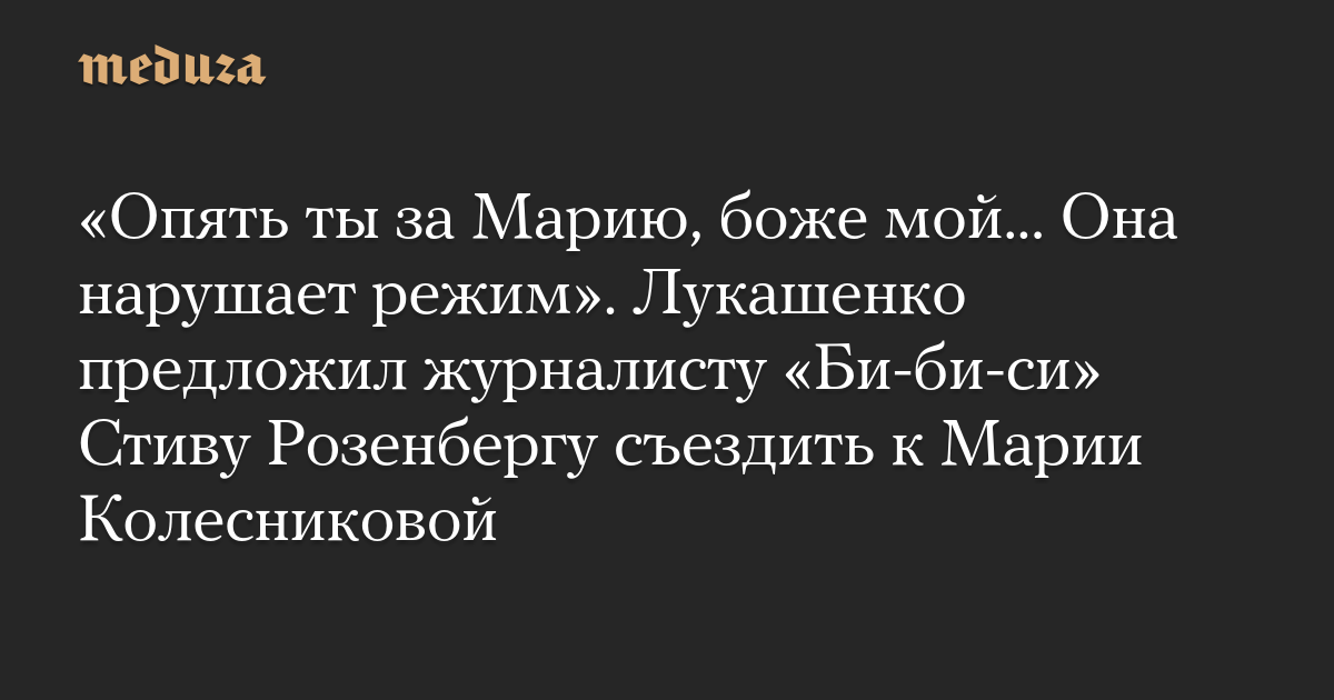 «Опять ты за Марию, боже мой… Она нарушает режим». Лукашенко предложил журналисту «Би-би-си» Стиву Розенбергу съездить к Марии Колесниковой 