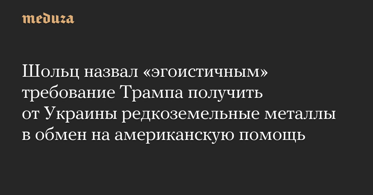 Шольц назвал «эгоистичным» требование Трампа получить от Украины редкоземельные металлы в обмен на американскую помощь