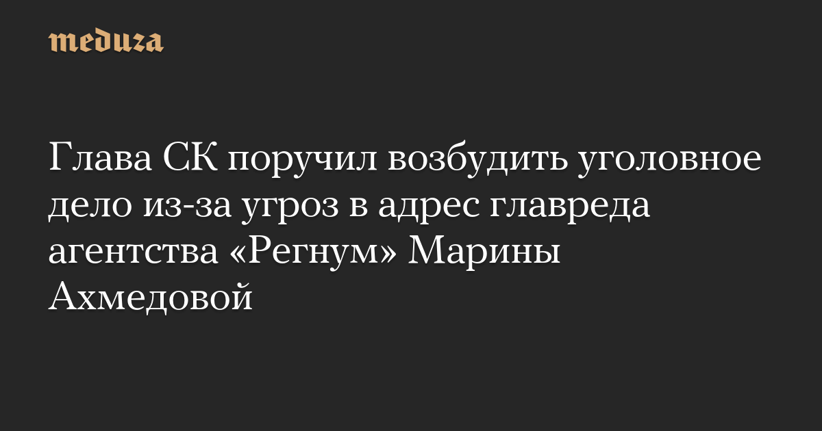 Глава СК поручил возбудить уголовное дело из-за угроз в адрес главреда агентства «Регнум» Марины Ахмедовой