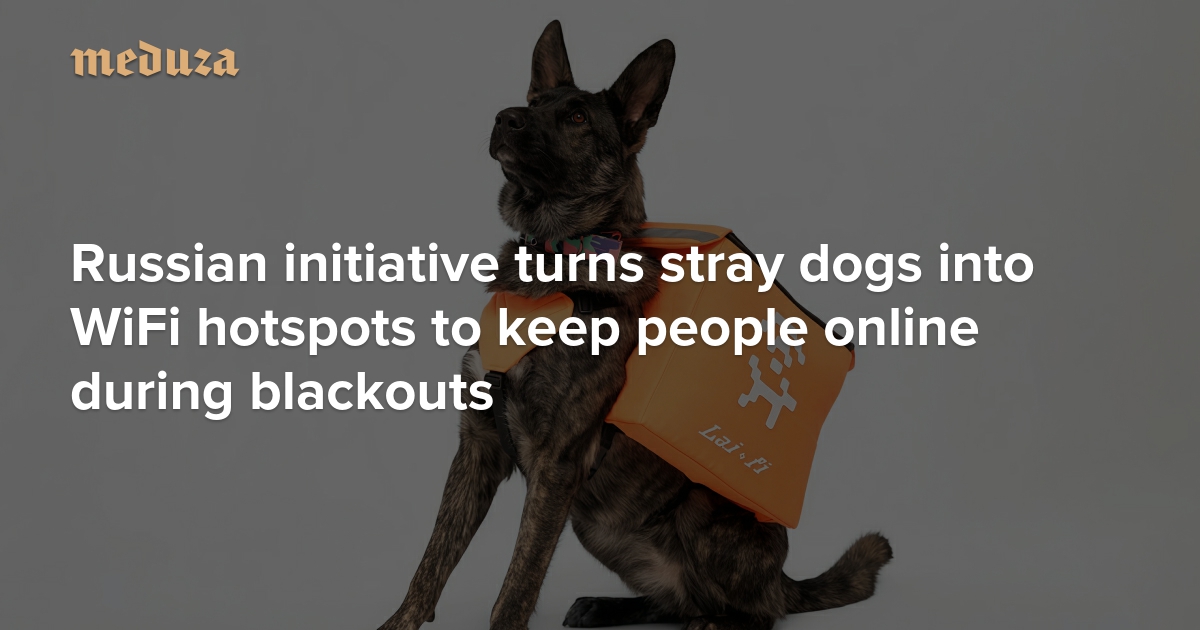 Russian initiative turns stray dogs into WiFi hotspots to keep people online during blackouts