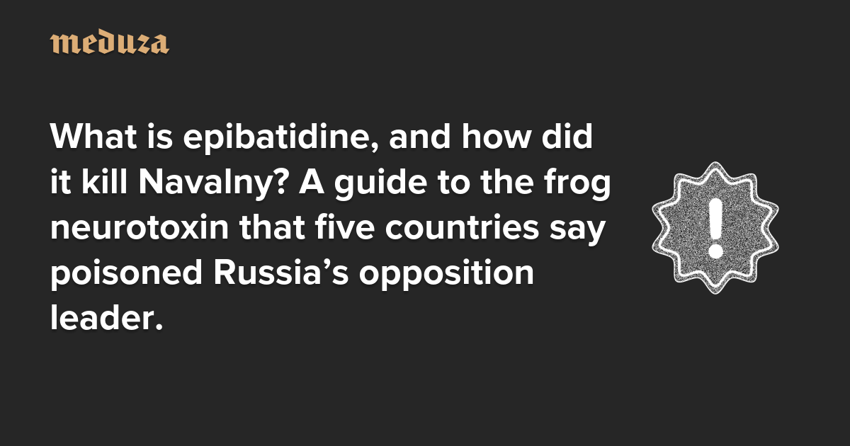 What is epibatidine, and how did it kill Navalny? A guide to the frog neurotoxin that five countries say poisoned Russia’s opposition leader.