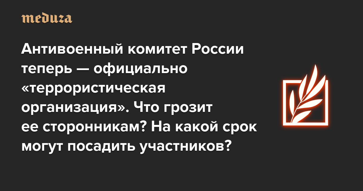 Антивоенный комитет России теперь — официально «террористическая организация». Что грозит ее сторонникам? На какой срок могут посадить участников? Еще раз о рисках опасного статуса платформы