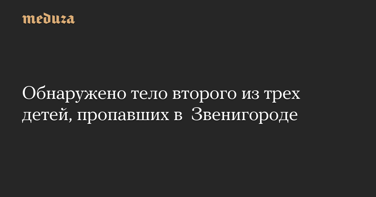 Обнаружено тело второго из трех детей, пропавших в  Звенигороде