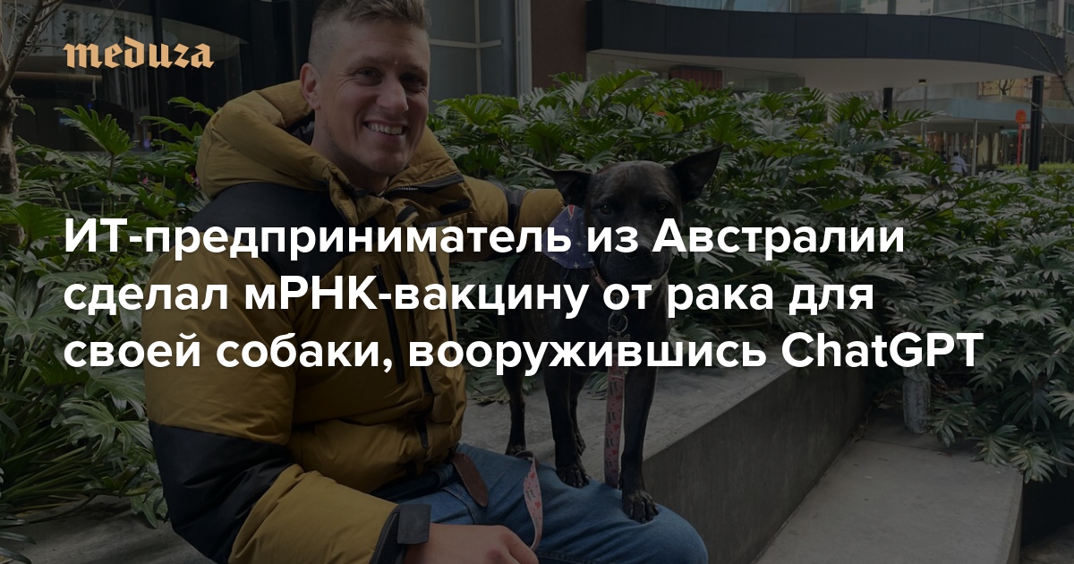 ИТ-предприниматель из Австралии сделал мРНК-вакцину от рака для своей собаки, вооружившись ChatGPT. Едва ли не сложнее, чем создать препарат, было получить одобрение на его применение