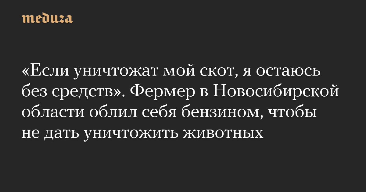 «Если уничтожат мой скот, я остаюсь без средств». Фермер в Новосибирской области облил себя бензином, чтобы не дать уничтожить животных