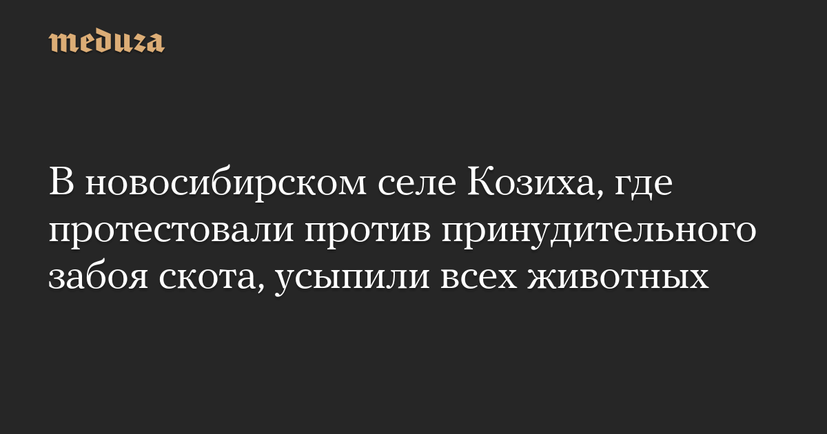 В новосибирском селе Козиха, где протестовали против принудительного забоя скота, усыпили всех животных