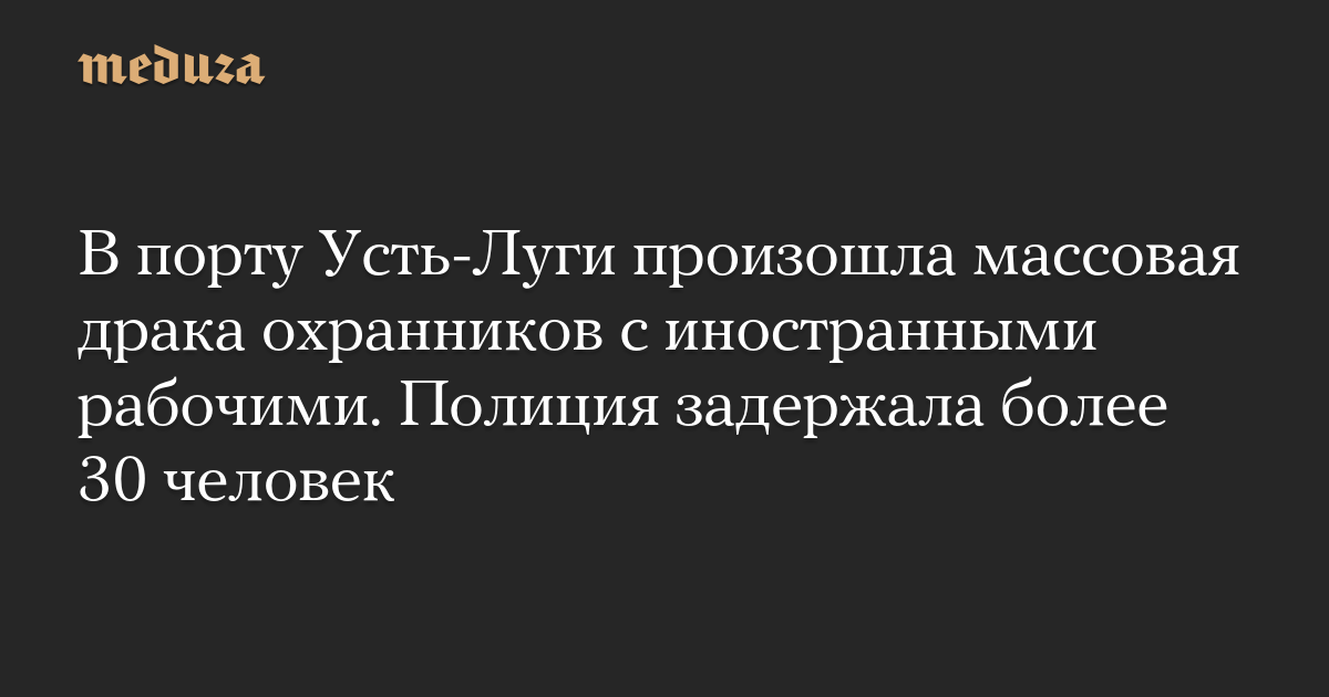 В порту Усть-Луги произошла массовая драка охранников с иностранными рабочими. Полиция задержала более 30 человек