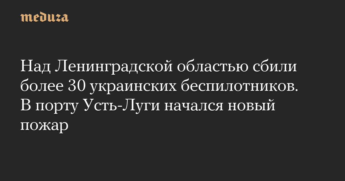 Над Ленинградской областью сбили более 30 украинских беспилотников. В порту Усть-Луги начался новый пожар