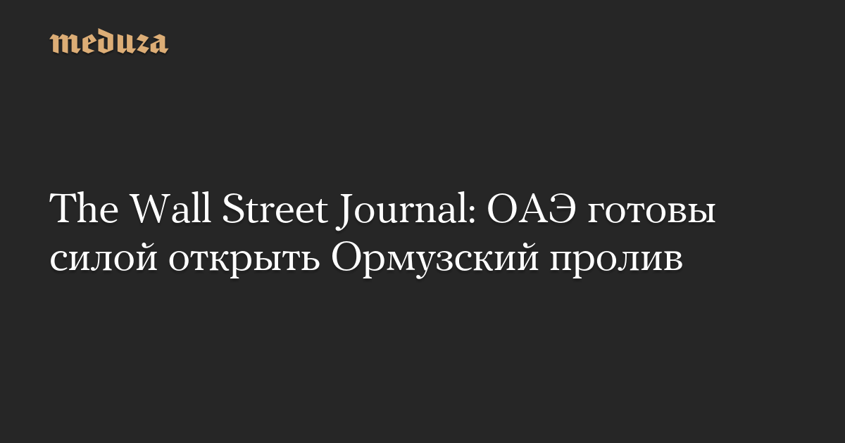 The Wall Street Journal: ОАЭ готовы силой открыть Ормузский пролив