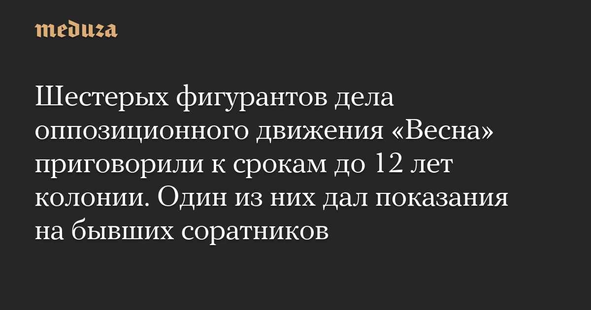 Шестерых фигурантов дела оппозиционного движения «Весна» приговорили к срокам до 12 лет колонии. Один из них дал показания на бывших соратников