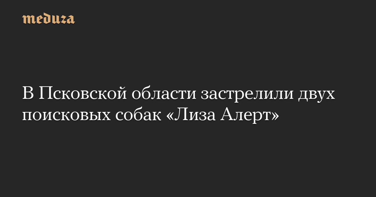 В Псковской области застрелили двух поисковых собак «Лиза Алерт»
