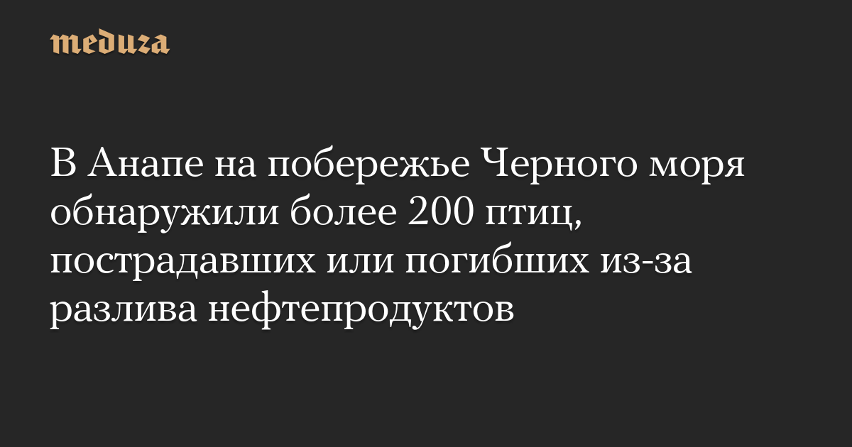 В Анапе на побережье Черного моря обнаружили более 200 птиц, пострадавших или погибших из-за разлива нефтепродуктов