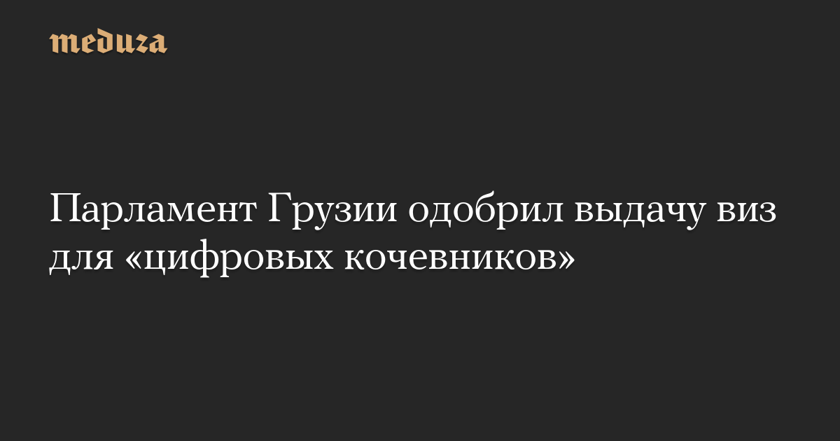 Парламент Грузии одобрил выдачу виз для «цифровых кочевников»