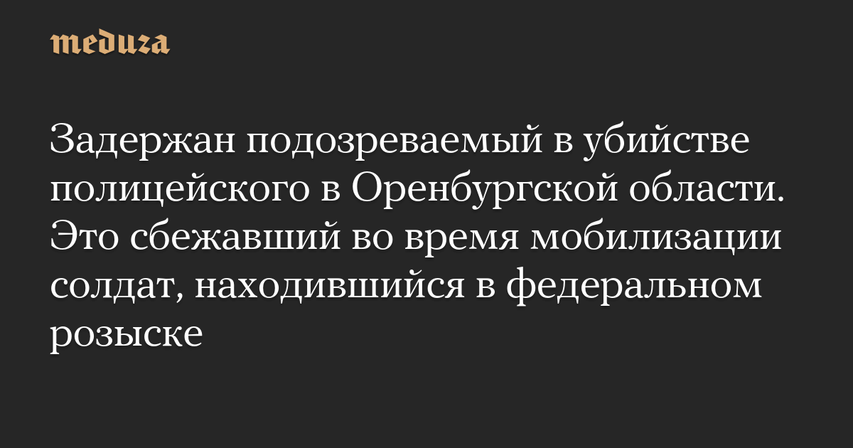 Задержан подозреваемый в убийстве полицейского в Оренбургской области. Это сбежавший во время мобилизации солдат, находившийся в федеральном розыске