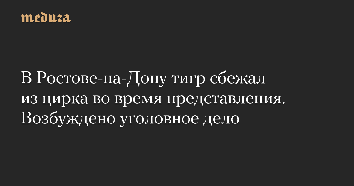 В Ростове-на-Дону тигр сбежал из цирка во время представления. Возбуждено уголовное дело