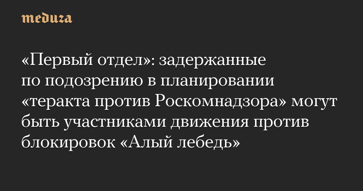 «Первый отдел»: задержанные по подозрению в планировании «теракта против Роскомнадзора» могут быть участниками движения против блокировок «Алый лебедь»
