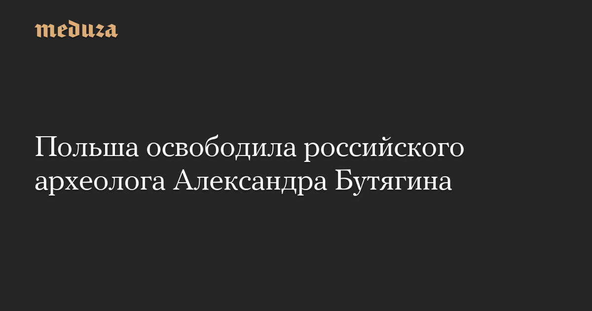 Польша освободила российского археолога Александра Бутягина
