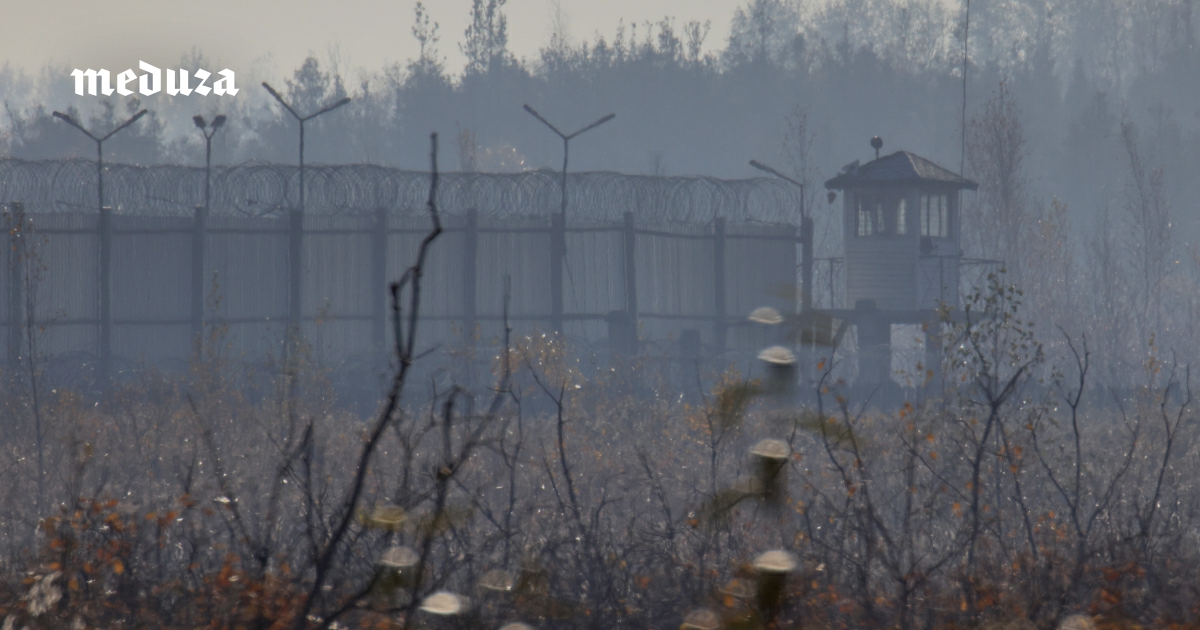С начала года в российских СИЗО и колониях умерли как минимум шесть человек, осужденных по политическим мотивам. Вот кем были эти люди