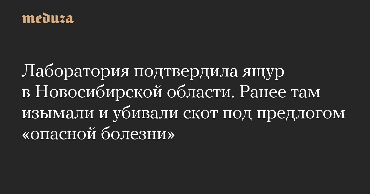 Лаборатория подтвердила ящур в Новосибирской области. Ранее там изымали и убивали скот под предлогом «опасной болезни»
