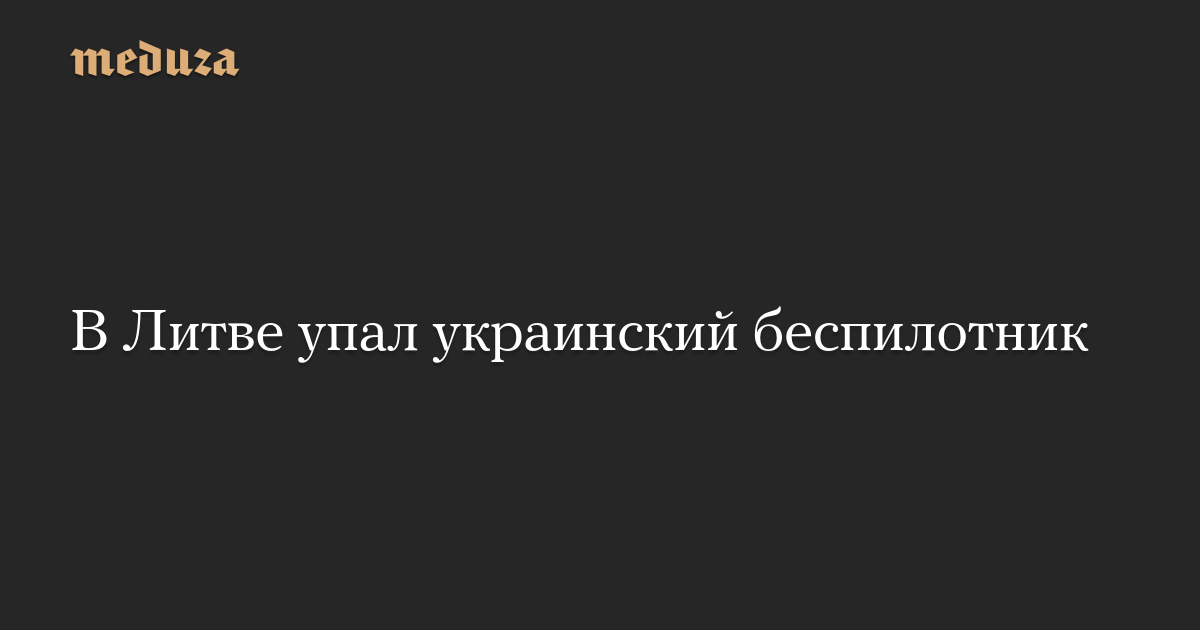 В Литве упал украинский беспилотник