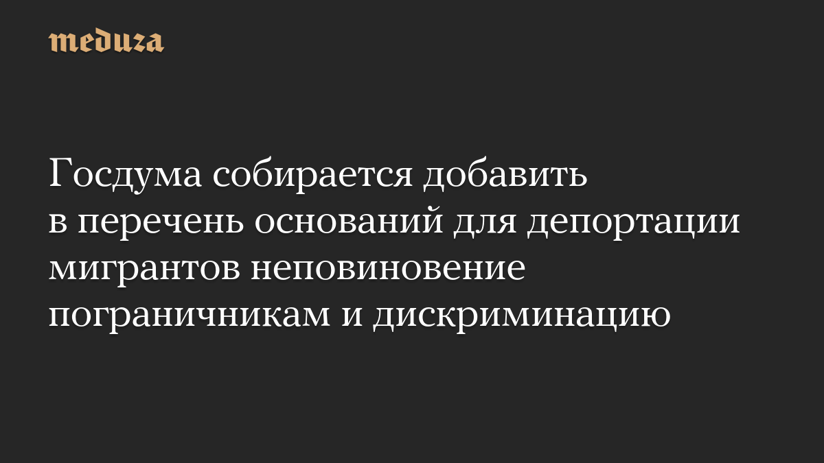 Госдума собирается добавить в перечень оснований для депортации мигрантов неповиновение пограничникам и дискриминацию