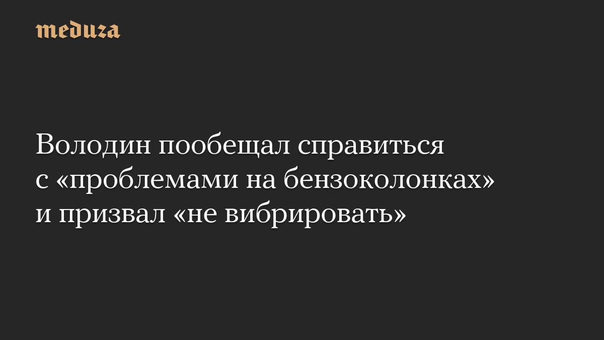 Володин пообещал справиться с «проблемами на бензоколонках» и призвал «не вибрировать»