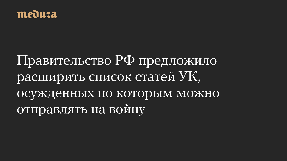 Правительство РФ предложило расширить список статей УК, осужденных по которым можно отправлять на войну
